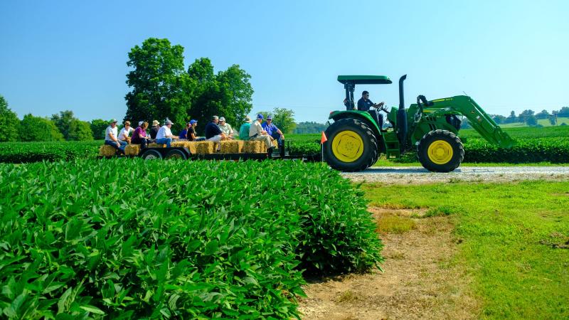 Corn, Soybean and Tabacco Field Day. 